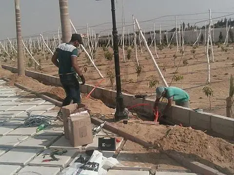 دي سي إس مصر للتشطيبات المعمارية